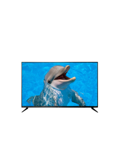 CAMY 32" HD LED TV